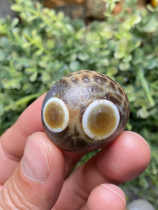 Natural Alxa Gobi rough agate Alxa flower-eye agate single piece