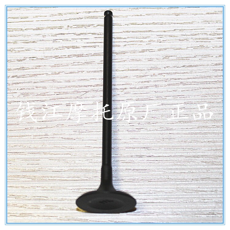 Rongwei motorcycle with Huanglong 600 Jinpeng 502 Cub 500 Sapphire dragon 300 Intake and exhaust valve oil seal