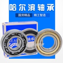 Harbin Bearing 6300 6301 6302 6303 6304 6305 6306 6307RZ Original High Speed