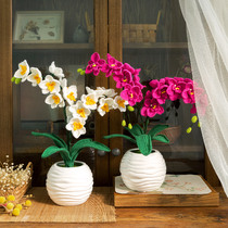 Su Su Jies home Phalaenopsis orchid ornaments handmade diy cotton crochet bouquet material package gift wool group