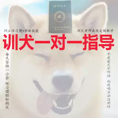 Dog training tutorial One-on-one dog training teaching Pet dog correction barking and biting Labrador Shiba Inu fighting Husky