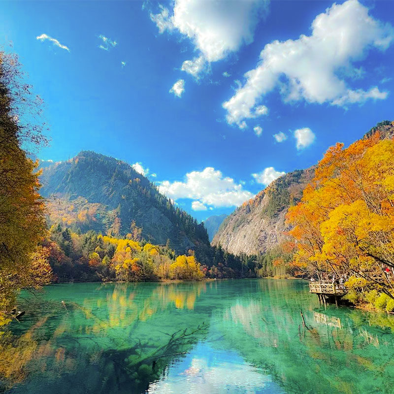 九寨沟黄龙高铁纯玩团值得参加吗?2025最新真相曝光!-旅行团-淘宝百科网