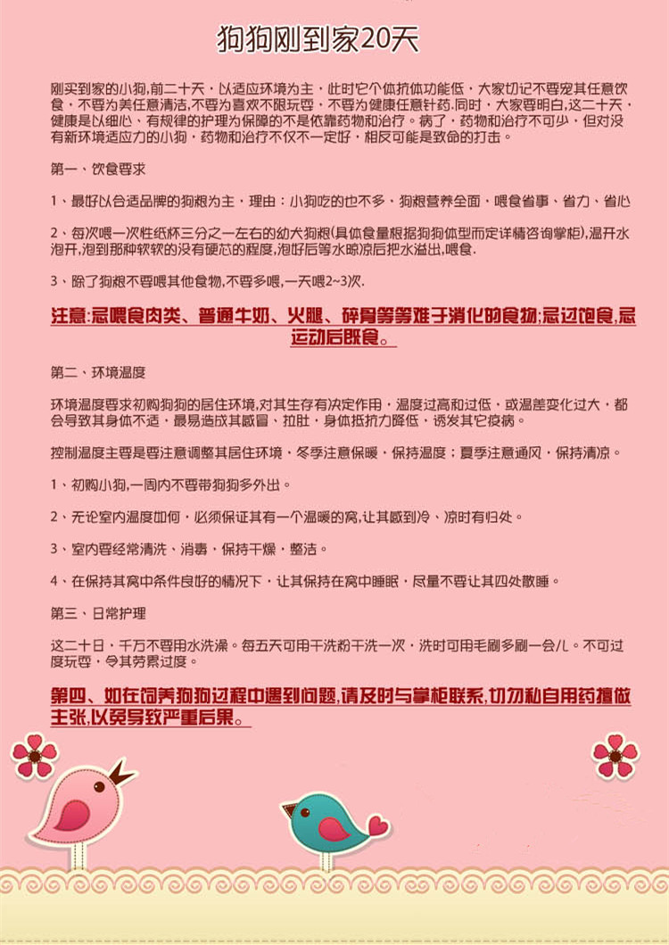 萌萌的脸蛋~体型超小茶杯贵宾Teddy