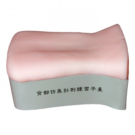 厂家正品直销背部仿真针刺练习平台