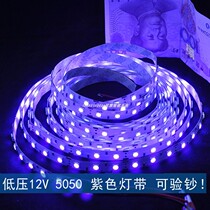 5050led soft 12V light strip patch household ceiling decoration super bright ice blue purple drip waterproof light strip boutique