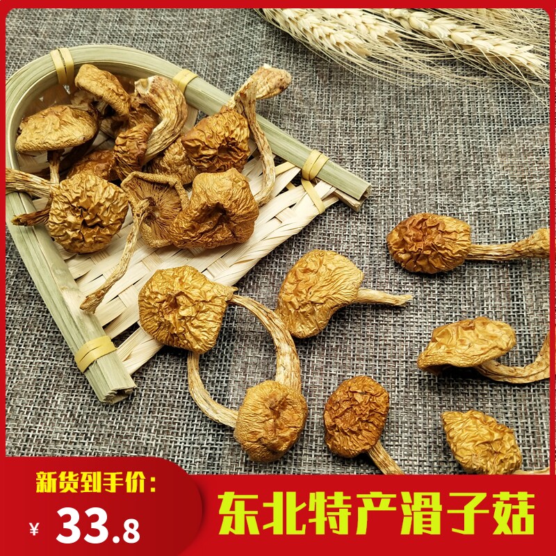 Northeast Termini Oyster Mushrooms Dry Goods 500g Small Yellow Grinding Slimy Mushroom wild mushrooms Small Chicken Stew Mushrooms