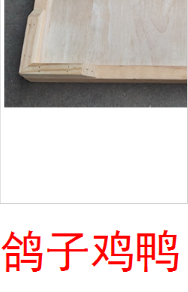 Nguồn cung cấp chim bồ câu, bồ câu, bồ câu, bồ câu, thức ăn, bồ câu, bồ câu, người cho ăn, máng gà, chim bồ câu, máng - Chim & Chăm sóc chim Supplies thức ăn của chim