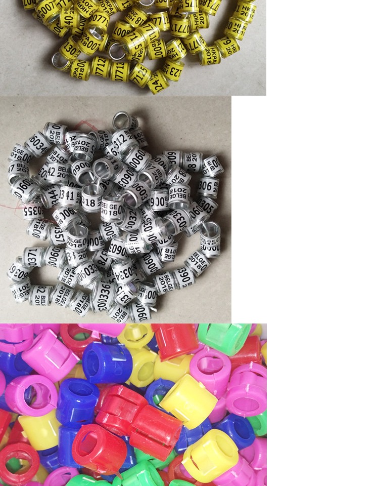 Pigeon chân nhẫn thư Pigeon cung cấp vòng điện tử chân nhẫn 2018 quốc gia thống nhất mô phỏng nhẫn nhận dạng chim bồ câu - Chim & Chăm sóc chim Supplies máng ăn cho chim