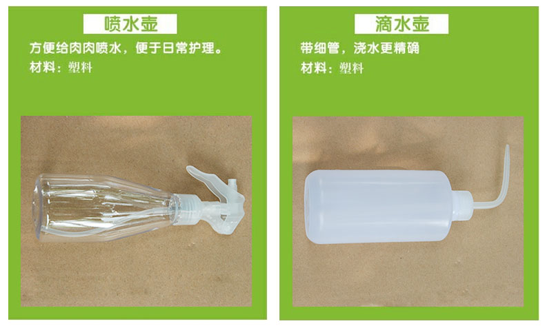 Cây mọng nước Dụng cụ trồng cây Kết hợp Bộ Hoa Mini Dụng cụ làm vườn Thịt Công cụ bầu bình xịt cây