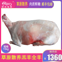  Aoge Le Inner Mongolia whole sheep fresh whole sheep 30 kg white sheep Sunit lamb leg of lamb lamb chops barbecue