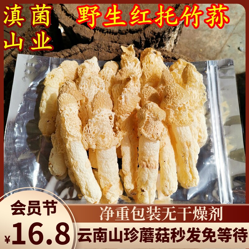 Wild Red Tochu Sun Fungus Dry Goods Selected no Shatter Grade no sulphur 20 gr Loaded Yunnan Mountain Rare Mushrooms Aroma Foot-Taobao