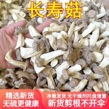 Dried longevity mushrooms, non-fresh mushrooms, yunnan mushrooms, delicacies, agricultural products, yunnan wild mushrooms, nourishing