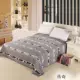 Cotton twill đơn in bông đôi chăn trẻ em trải giường đơn mảnh Ưu đãi đặc biệt 230 * 250 ga trải nệm