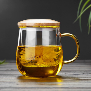 玻璃带把加厚过滤花茶泡茶水杯
