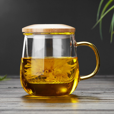 玻璃带把加厚过滤花茶泡茶水杯
