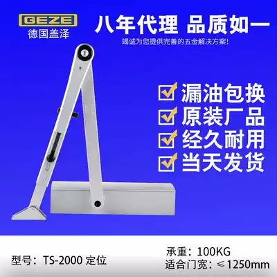 GEZE GEZE TS2000 door closer buffer hydraulic fireproof automatic closing device 90 degree positioning closing door 100kg