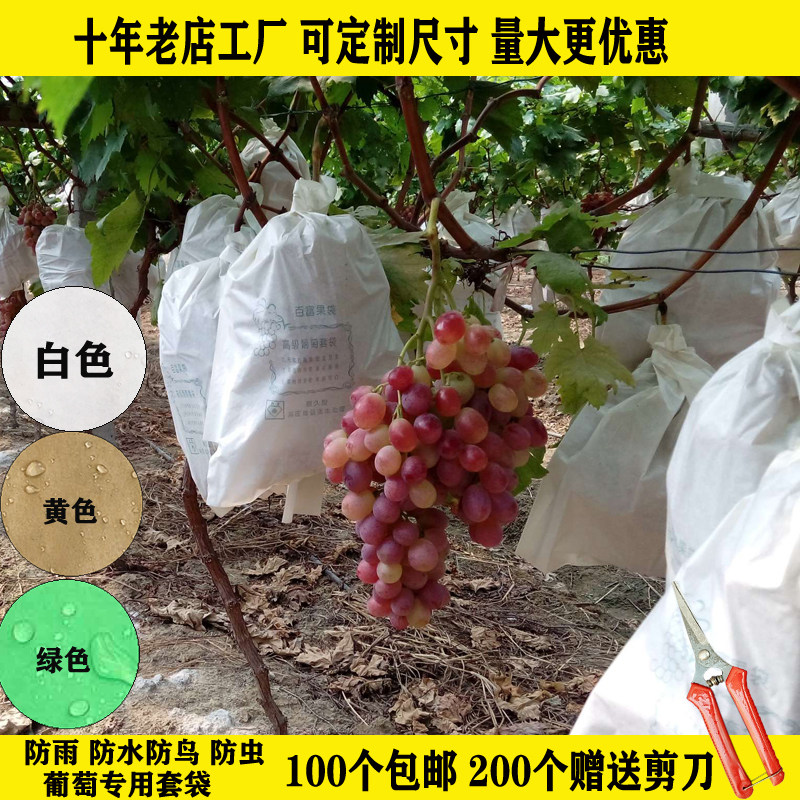 Grape special bagging paper bag insect-proof bag White grape bag Fruit bag Mango Pipa orange Bird-proof rain-proof sunscreen
