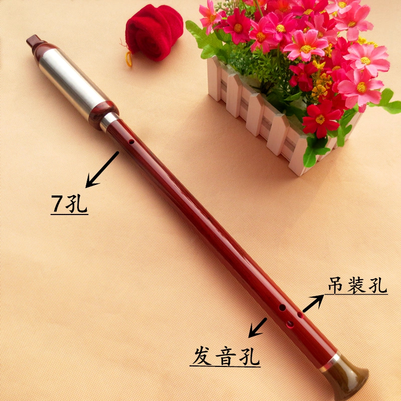 Nhựa bakelite thổi thẳng đứng Bawu G-F F người mới bắt đầu chơi nhạc cụ quốc gia có thể tháo rời sáo trúc mão mèo