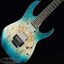 Japan Direct Post Ibanez Premium RG1120PBZ Indonesias Twin Rocking Electric Guitar Tree Tumor Veneered