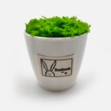 Маленький реалистичный крючок для вязания в форме цветка, зеленый пластиковый цветочный горшок для офиса, в цветочек, маленькая вазочка