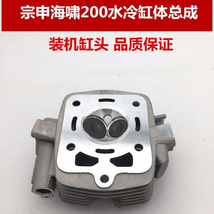 Zonshin tricycle accessories ZS200 250 cylinder head water cooled cylinder head assembly milky white