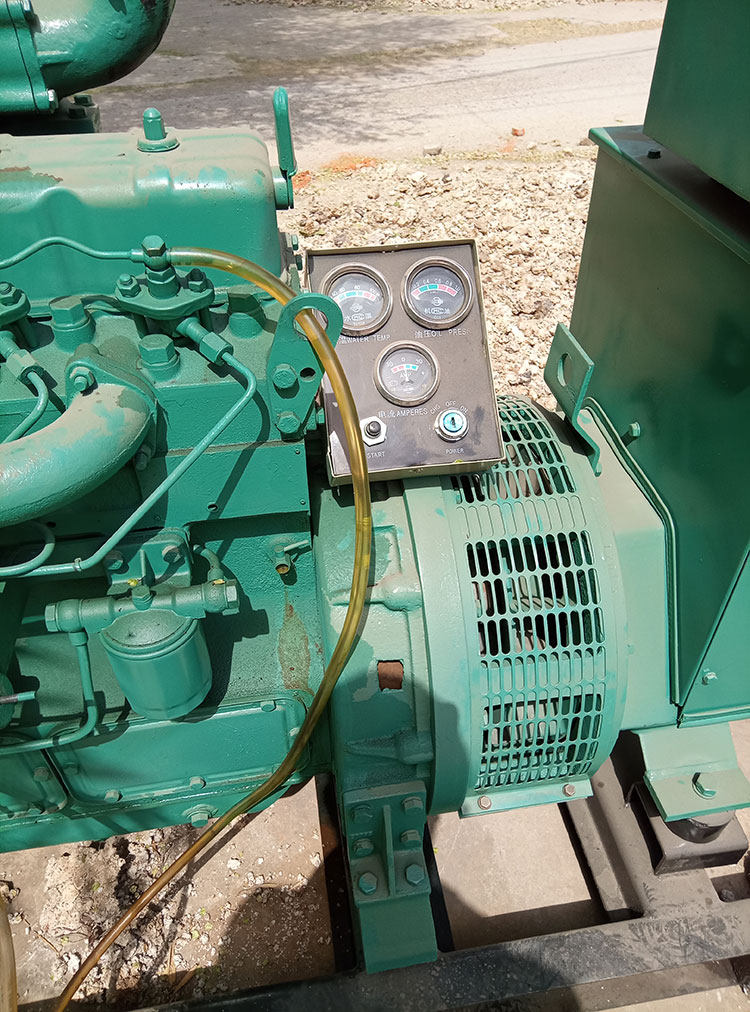 柴油发电机组40千瓦华丰养殖场应急备用