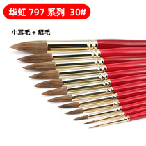 South Korea Imports Hawhong Hua Hongniu Airy Mink Wool Mixed Round Head Water Color Pen Pointed Oil Painting Pen 797