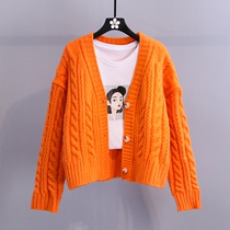 Short numb sweater sweatshirt for women 2021 Autumn fit new Korean version knitted blouse with loose thick wool line jacket jacket