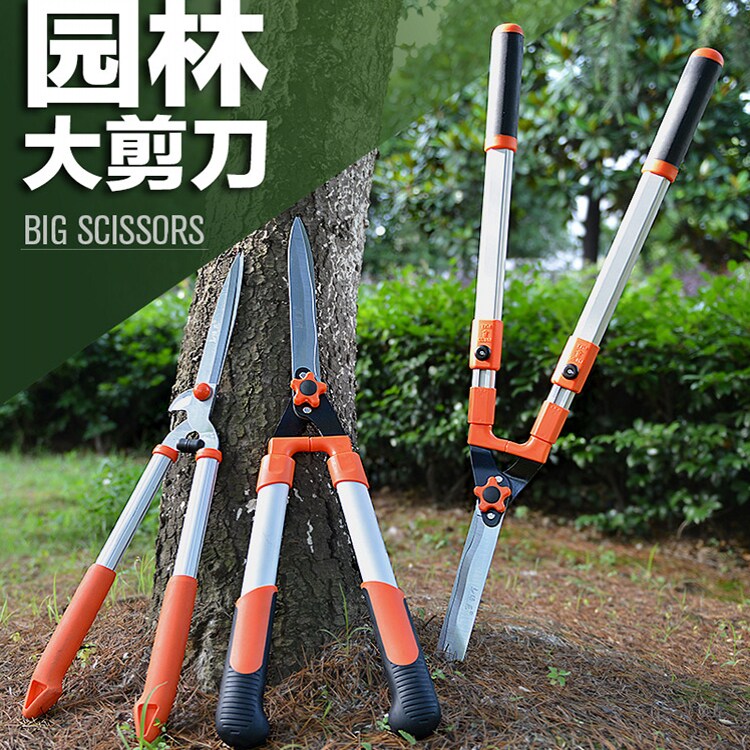Garden cut gardening scissors Tools for prunes cutting branches Branches Cut Green Trim Lawn Green Hedge big scissors Flowers