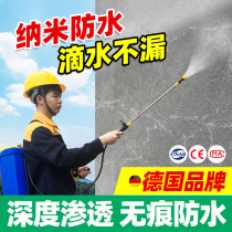 Exterior Wall Waterproofing paint Nano waterproof Penetrant Roof Penetration Type Waterproofing water repellent Leakproof Material Leak Proof