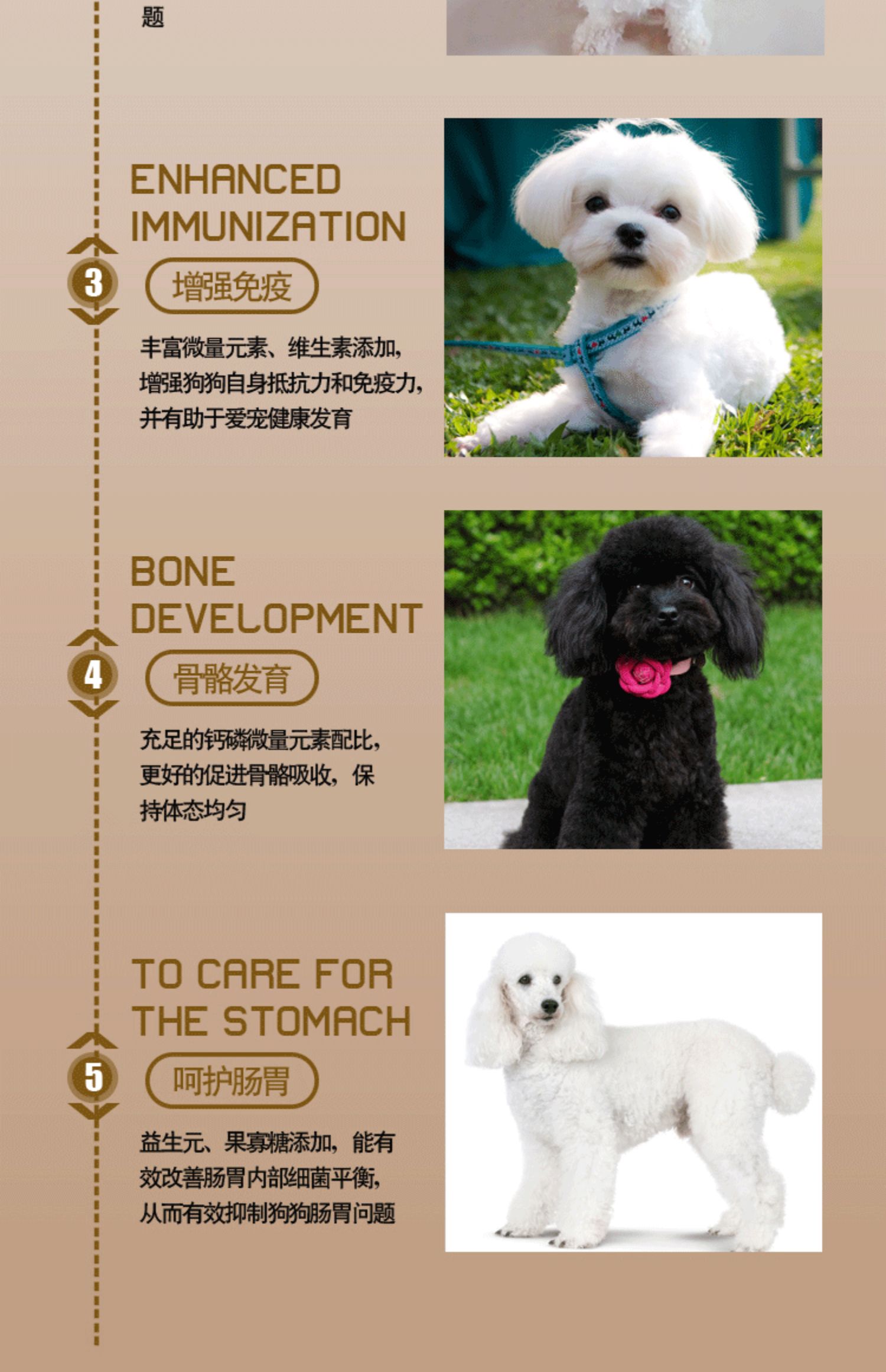Thú cưng khi bắt đầu cho chó Teddy thức ăn đặc biệt cho chó 5 kg vào một sợi lông phổ quát để xé rách thức ăn cho chó con tằm - Chó Staples sữa royal canin