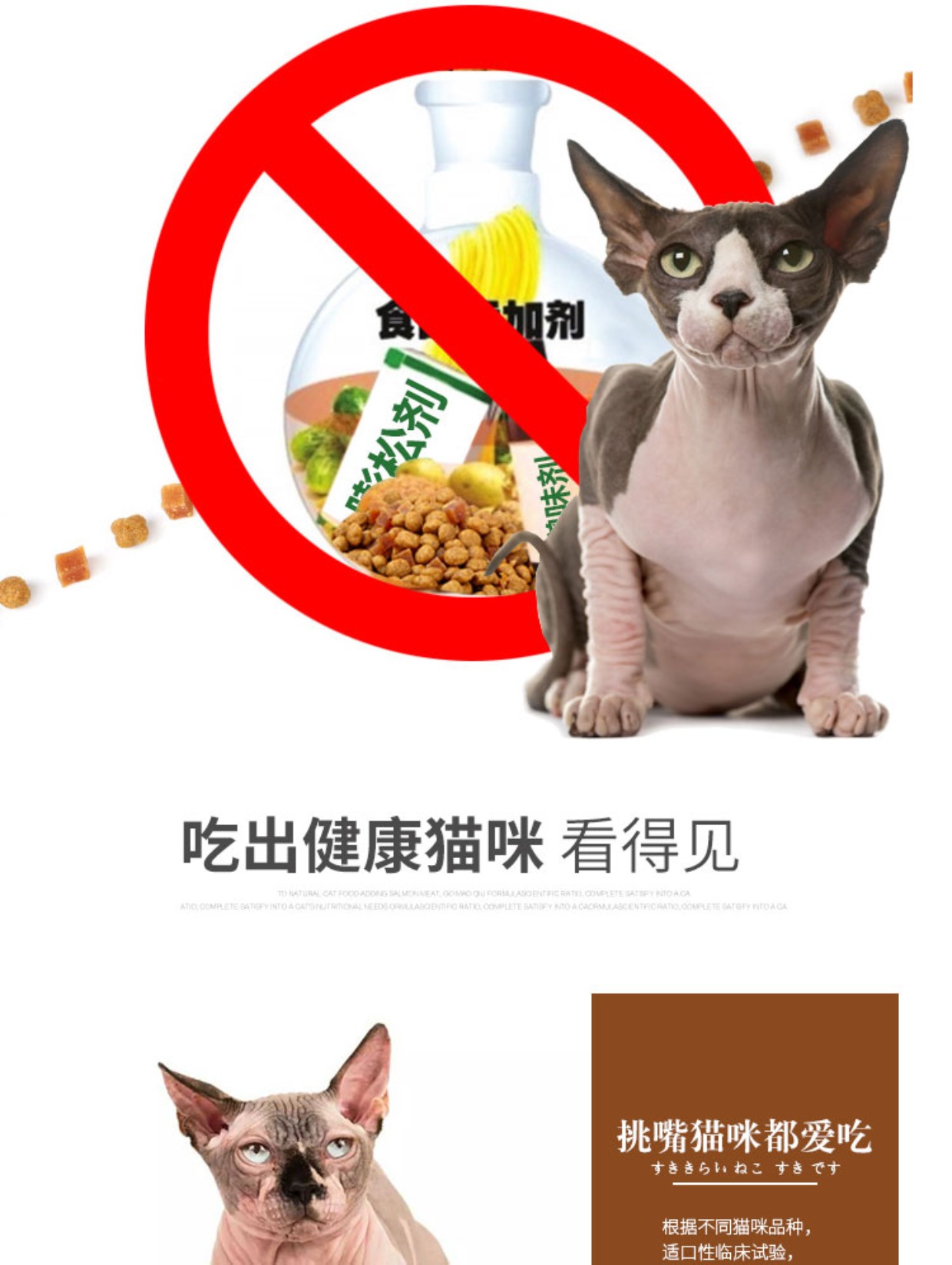 Mèo không lông đặc biệt là thức ăn cho mèo vật nuôi mèo thời thơ ấu mèo 1,5kg thức ăn chủ yếu tự nhiên Canada Sphinx đồ ăn vặt cho mèo