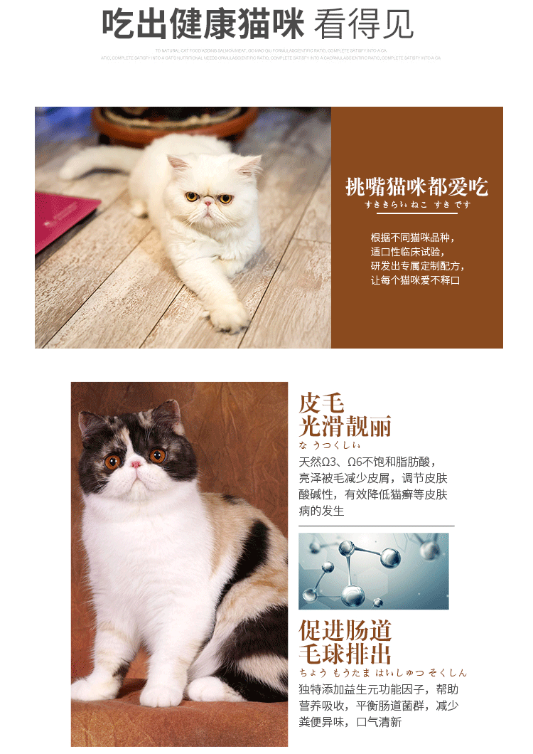 Garfield đặc biệt cho mèo ăn thức ăn đầu tiên hạt giống cá nhỏ 1,5kg vẻ đẹp tự nhiên chính để bóng lông mèo shorthair kỳ lạ - Cat Staples Hạt Whiskas cho mèo con