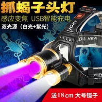 Scorpion lamp catching scorpion special LED purple head wear induction rechargeable three-head strong light long-range dual-purpose catch Scorpion