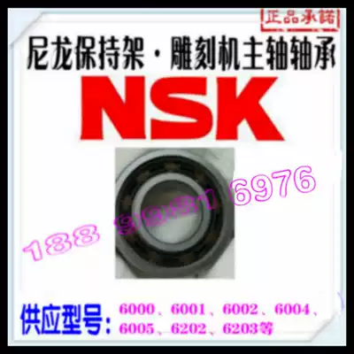 NSK engraving machine spindle bearing 6000 6002 6003 6004 6005 6202 6203 nylon bearing