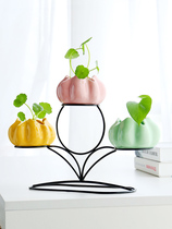 Simple creative green water cultivated ceramic small vase fittings decorated modern living room desktop flower furnished