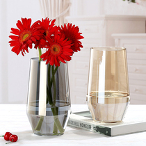 Nordic Simple Aurora Fantasy Glass Living Room Decorated Transparent Water Plant Fittings with Flower Plated Vase