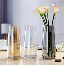 Nordic ins glass vases transparent flower arrangements Water raising rich and expensive bamboo slips minimalist modern electroplating Mirage Green Robo restaurant