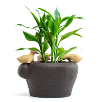 Creative little yellow duck flower pot ornaments hydroponic flower ceramic fish fun flower cylinder home decoration craft flower Road