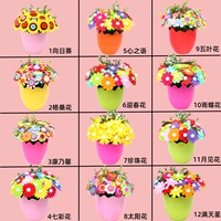 Общее количество кнопок цветов (стили растений в горшках) вы можете сделать заметки о стилях