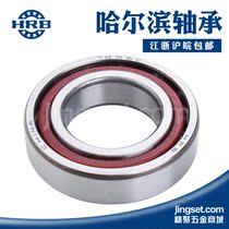 Harbin angular contact ball 7000C 7000C 7001C 7001C 7003C 7009AC 7010AC