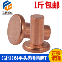 GB109 flat head red copper rivet solid flat head rivet M2M2 5M3M4M5M6M8 red copper wool nail meta cap