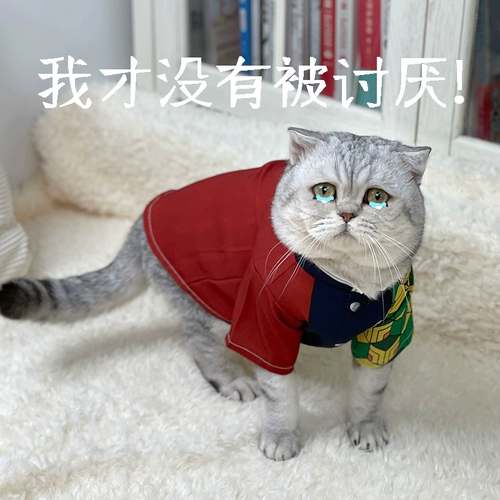 Призрак эсминец Pet Pet Pet Application Product