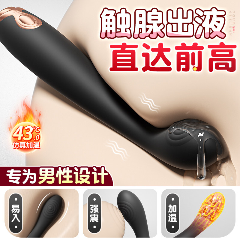 Prostate Massager Anal Plug