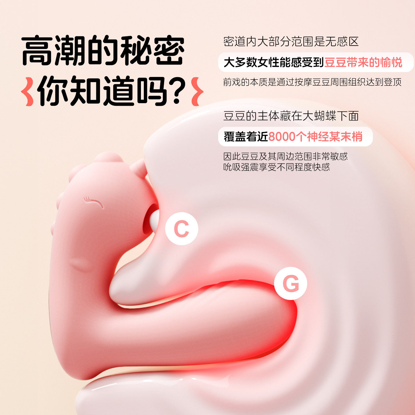 三功能APP遥控玩具 detail 4