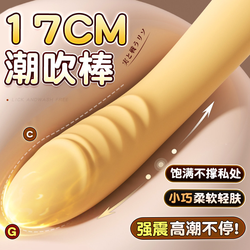 Remote-Controlled Vibrator