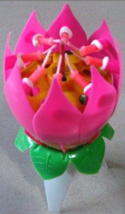 Bougie - Ref 2494021 Image 8