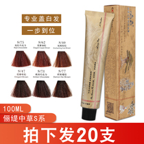 Hairdressing shop special single hair dyeing Cream Professional cover white hair multi-segment color one step in place tide color hair dye