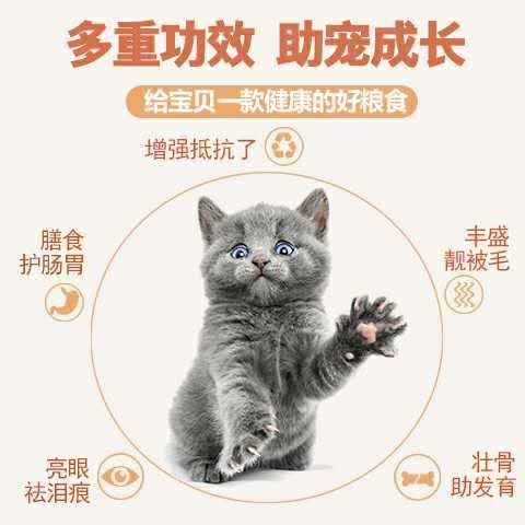 Thức ăn cho mèo đi lạc trong nước mới 10 kg 20 kg cá lớn hải sản tự nhiên không có thêm thức ăn cho mèo âm hộ mèo - Gói Singular thức ăn khô cho chó