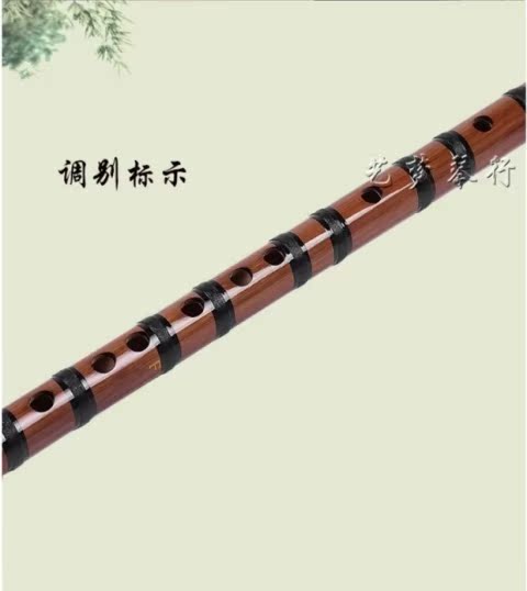 Một cây sáo g t f sáo sáo trúc sáo trúc sáo mới bắt đầu mua một tặng năm phụ kiện - Nhạc cụ dân tộc tiêu trúc